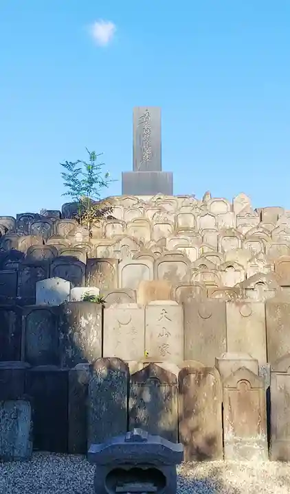 妙顕寺(埼玉県)