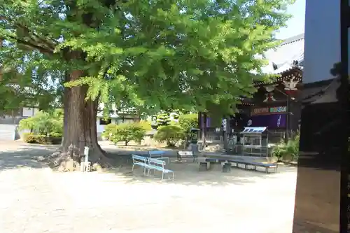 地蔵寺のその他建物