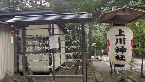 上川神社のおみくじ