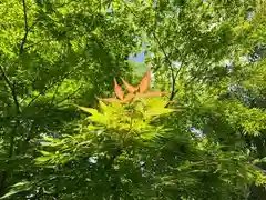 足羽神社(福井県)