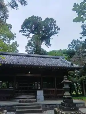 深坂神社の{uncategorized: "未分類", other: "その他", undefined: "問題あり", building: "その他建物", grave: "お墓", sacred_gate: "鳥居", guardian: "狛犬", statue: "像", buddha: "仏像", history: "歴史", nature: "自然", garden: "庭園", animal: "動物", pagoda: "塔", temizu: "手水舎", mountain_gate: "山門・神門", sanctuary: "本殿・本堂", subordinate: "末社・摂社", art: "芸術", scenery: "景色", jizo: "地蔵", ema: "絵馬", goshuin: "御朱印", omikuji: "おみくじ", items: "授与品その他", amulet: "お守り", goshuincho: "御朱印帳", eats: "食事", festival: "お祭り", votive_dance: "神楽", shichigosan: "七五三参", wedding: "結婚式", experience: "体験その他", initially: "初詣", around: "周辺", anti_infection: "感染症対策"}