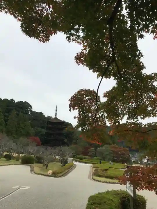 瑠璃光寺の{uncategorized: "未分類", other: "その他", undefined: "問題あり", building: "その他建物", grave: "お墓", sacred_gate: "鳥居", guardian: "狛犬", statue: "像", buddha: "仏像", history: "歴史", nature: "自然", garden: "庭園", animal: "動物", pagoda: "塔", temizu: "手水舎", mountain_gate: "山門・神門", sanctuary: "本殿・本堂", subordinate: "末社・摂社", art: "芸術", scenery: "景色", jizo: "地蔵", ema: "絵馬", goshuin: "御朱印", omikuji: "おみくじ", items: "授与品その他", amulet: "お守り", goshuincho: "御朱印帳", eats: "食事", festival: "お祭り", votive_dance: "神楽", shichigosan: "七五三参", wedding: "結婚式", experience: "体験その他", initially: "初詣", around: "周辺", anti_infection: "感染症対策"}