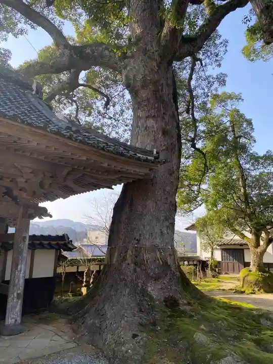 大乗寺(兵庫県)