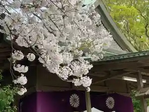 鎌倉宮のその他建物(2021年04月08日(木) 20時30分26秒投稿)