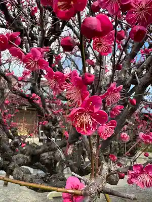 結城神社(三重県)