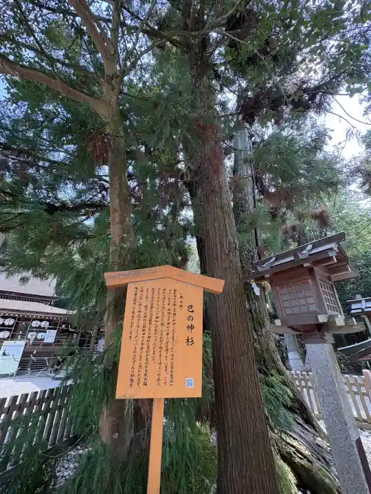 大神神社の{uncategorized: "未分類", other: "その他", undefined: "問題あり", building: "その他建物", grave: "お墓", sacred_gate: "鳥居", guardian: "狛犬", statue: "像", buddha: "仏像", history: "歴史", nature: "自然", garden: "庭園", animal: "動物", pagoda: "塔", temizu: "手水舎", mountain_gate: "山門・神門", sanctuary: "本殿・本堂", subordinate: "末社・摂社", art: "芸術", scenery: "景色", jizo: "地蔵", ema: "絵馬", goshuin: "御朱印", omikuji: "おみくじ", items: "授与品その他", amulet: "お守り", goshuincho: "御朱印帳", eats: "食事", festival: "お祭り", votive_dance: "神楽", shichigosan: "七五三参", wedding: "結婚式", experience: "体験その他", initially: "初詣", around: "周辺", anti_infection: "感染症対策"}