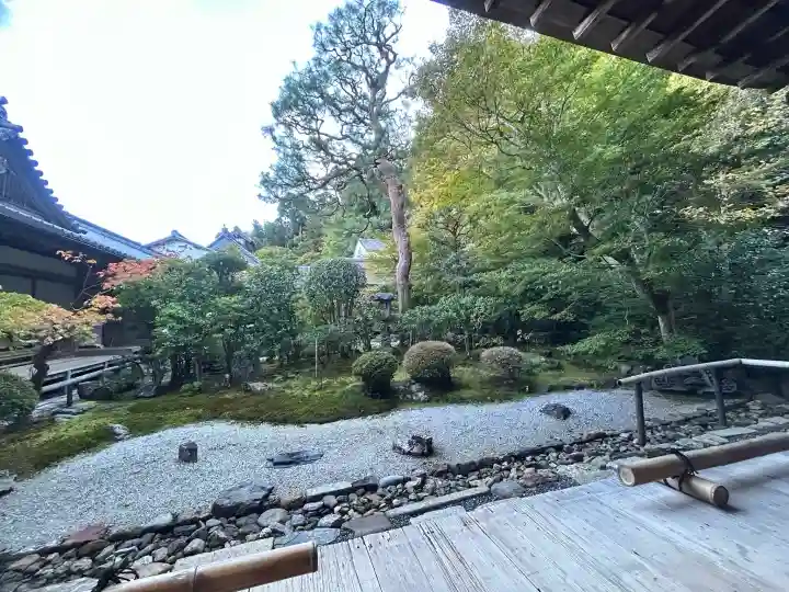 二尊院の{uncategorized: "未分類", other: "その他", undefined: "問題あり", building: "その他建物", grave: "お墓", sacred_gate: "鳥居", guardian: "狛犬", statue: "像", buddha: "仏像", history: "歴史", nature: "自然", garden: "庭園", animal: "動物", pagoda: "塔", temizu: "手水舎", mountain_gate: "山門・神門", sanctuary: "本殿・本堂", subordinate: "末社・摂社", art: "芸術", scenery: "景色", jizo: "地蔵", ema: "絵馬", goshuin: "御朱印", omikuji: "おみくじ", items: "授与品その他", amulet: "お守り", goshuincho: "御朱印帳", eats: "食事", festival: "お祭り", votive_dance: "神楽", shichigosan: "七五三参", wedding: "結婚式", experience: "体験その他", initially: "初詣", around: "周辺", anti_infection: "感染症対策"}