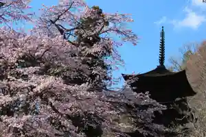 国宝 大法寺の自然(2019年04月15日(月) 18時03分38秒投稿)