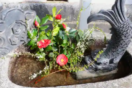 三津厳島神社の手水舎