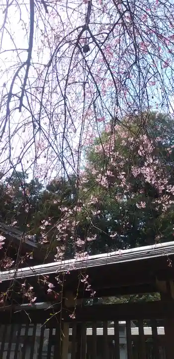 三ケ尻八幡神社の自然