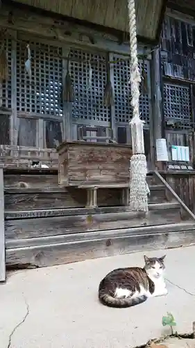 修那羅山安宮神社の動物