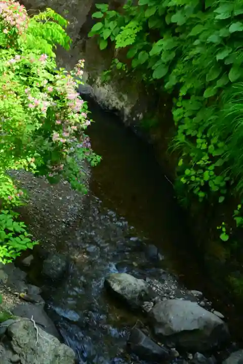 高龍神社(新潟県)