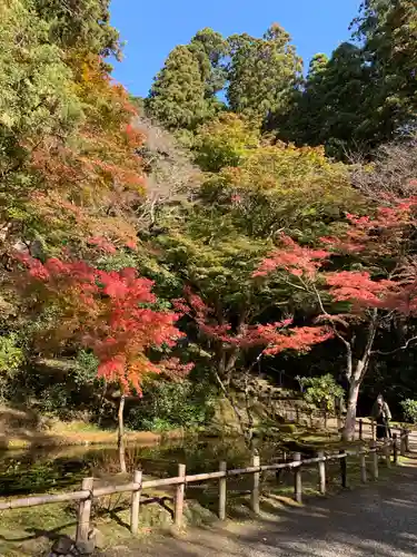 室生寺の庭園