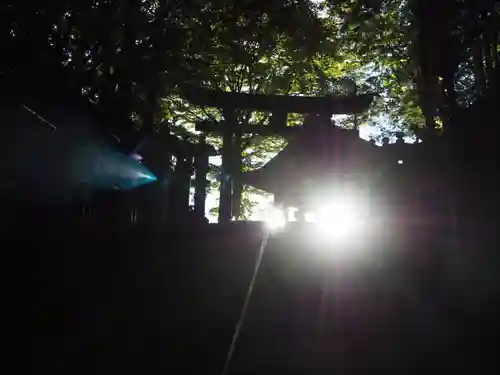 三峯神社(埼玉県)