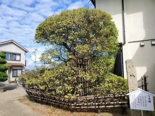 柿本神社の自然