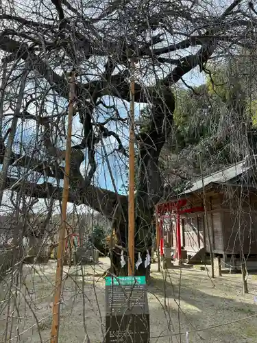 小川諏訪神社(福島県)