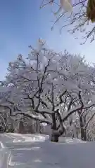 相馬神社(北海道)