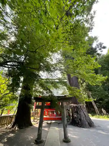 雲八幡宮(大分県)