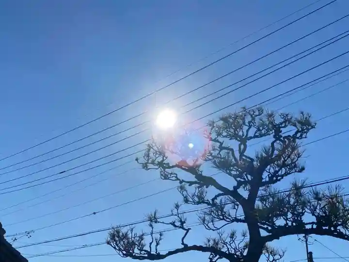 西方山極楽寺の自然