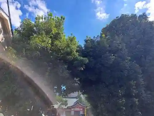 玉造稲荷神社(大阪府)