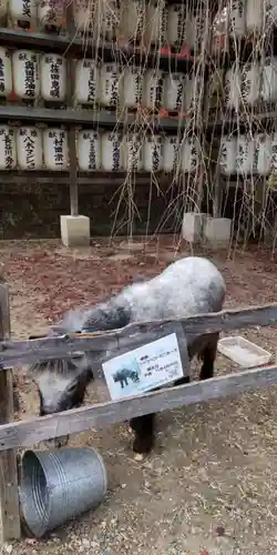 大石神社(京都府)