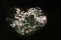 磐椅神社の自然