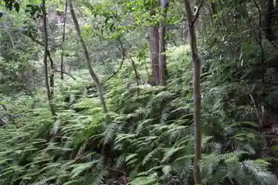 桑實寺(滋賀県)