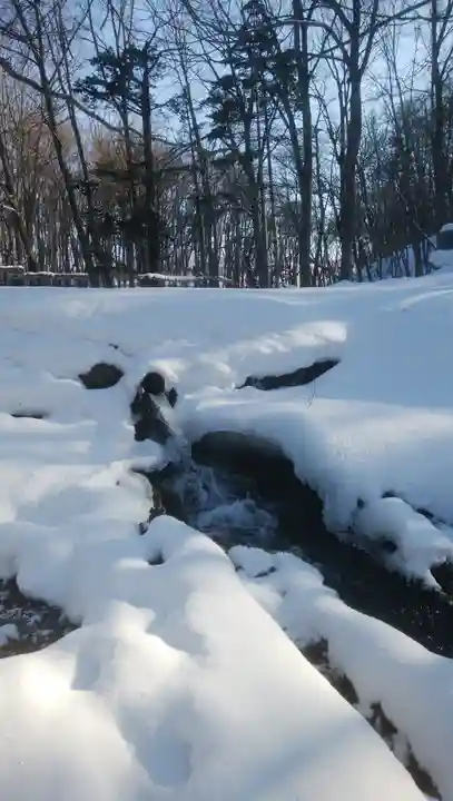 来運神社の自然