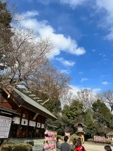 櫻木神社のその他建物