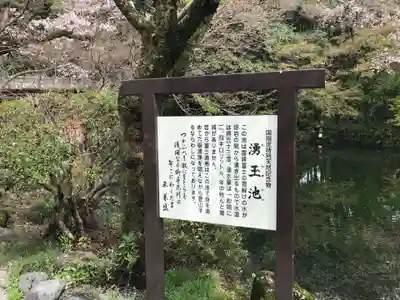 富士山本宮浅間大社(静岡県)