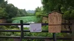 御髪神社(京都府)