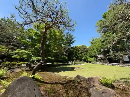 宝珠山　観泉寺の{uncategorized: "未分類", other: "その他", undefined: "問題あり", building: "その他建物", grave: "お墓", sacred_gate: "鳥居", guardian: "狛犬", statue: "像", buddha: "仏像", history: "歴史", nature: "自然", garden: "庭園", animal: "動物", pagoda: "塔", temizu: "手水舎", mountain_gate: "山門・神門", sanctuary: "本殿・本堂", subordinate: "末社・摂社", art: "芸術", scenery: "景色", jizo: "地蔵", ema: "絵馬", goshuin: "御朱印", omikuji: "おみくじ", items: "授与品その他", amulet: "お守り", goshuincho: "御朱印帳", eats: "食事", festival: "お祭り", votive_dance: "神楽", shichigosan: "七五三参", wedding: "結婚式", experience: "体験その他", initially: "初詣", around: "周辺", anti_infection: "感染症対策"}