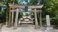 土佐神社の鳥居