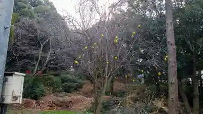 香椎宮(福岡県)