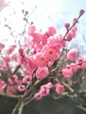 神前神社の自然