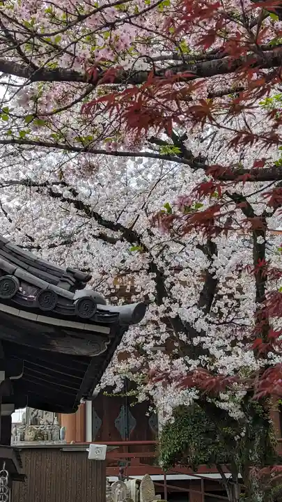 壬生寺(京都府)