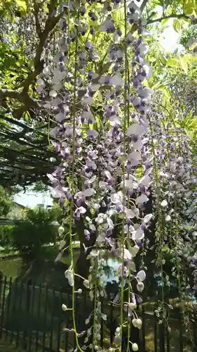 西大寺(奈良県)