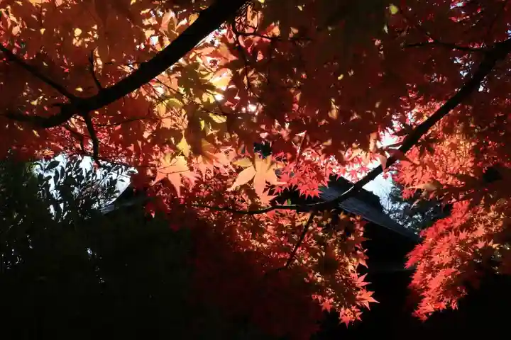 滑川神社 - 仕事と子どもの守り神の自然