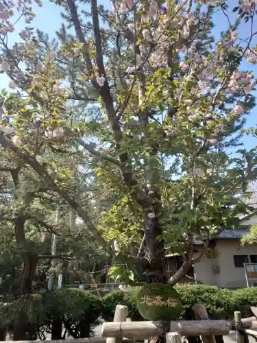 鶴嶺八幡宮(神奈川県)