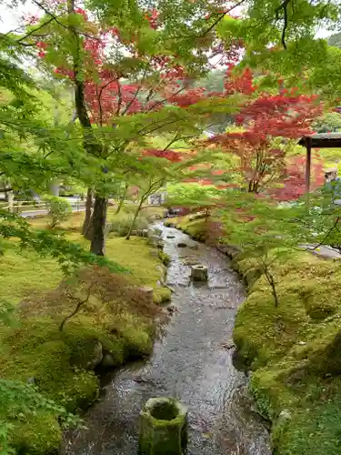 禅林寺（永観堂）(京都府)