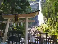 飛瀧神社(熊野那智大社別宮)の鳥居