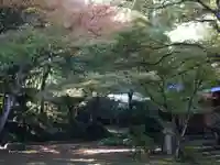 神上寺(山口県)