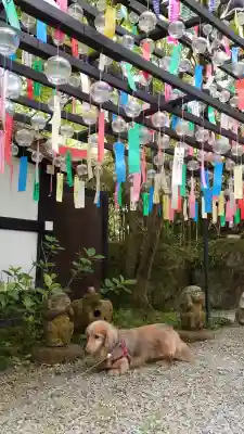 三井寺（平等寺）(福岡県)