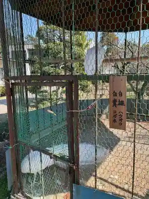 進雄神社(群馬県)