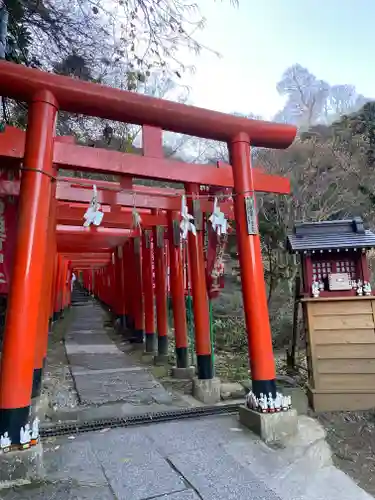 佐助稲荷神社の鳥居