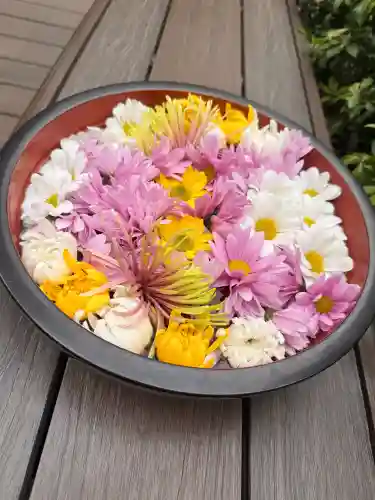 増上寺塔頭 三縁山 宝珠院の{uncategorized: "未分類", other: "その他", undefined: "問題あり", building: "その他建物", grave: "お墓", sacred_gate: "鳥居", guardian: "狛犬", statue: "像", buddha: "仏像", history: "歴史", nature: "自然", garden: "庭園", animal: "動物", pagoda: "塔", temizu: "手水舎", mountain_gate: "山門・神門", sanctuary: "本殿・本堂", subordinate: "末社・摂社", art: "芸術", scenery: "景色", jizo: "地蔵", ema: "絵馬", goshuin: "御朱印", omikuji: "おみくじ", items: "授与品その他", amulet: "お守り", goshuincho: "御朱印帳", eats: "食事", festival: "お祭り", votive_dance: "神楽", shichigosan: "七五三参", wedding: "結婚式", experience: "体験その他", initially: "初詣", around: "周辺", anti_infection: "感染症対策"}