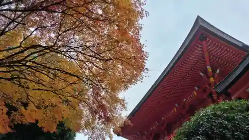 近江神宮(滋賀県)