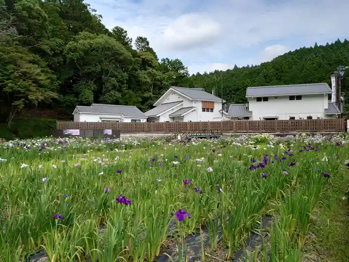 小國神社の自然
