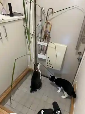 足立山妙見宮（御祖神社）(福岡県)