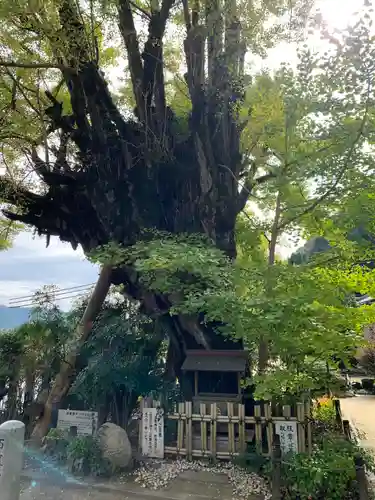 葛城一言主神社(奈良県)